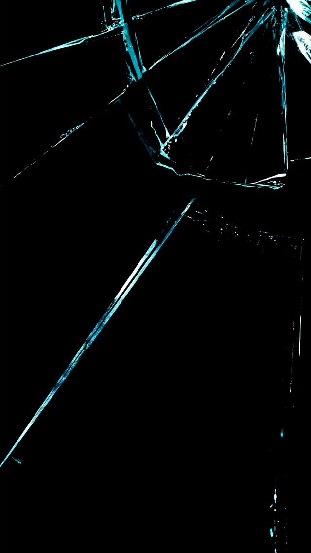 640x1136 Samsung S10 Broken Screen Ecopetit cat - cracked screen iPhone Wallpaper