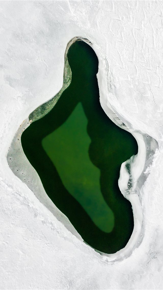 640x1136 green and white heart shaped illustration - winter iPhone Wallpaper