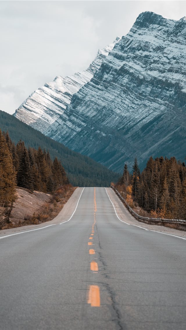 640x1136 gray concrete road between trees near mountain - cloud iPhone Wallpaper