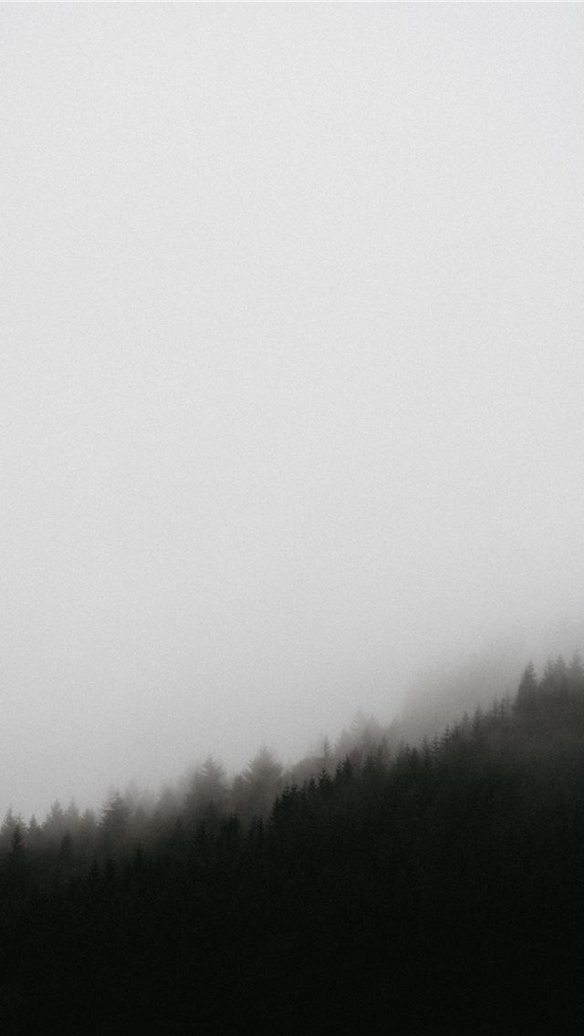 640x1136 green trees -  iPhone Wallpaper