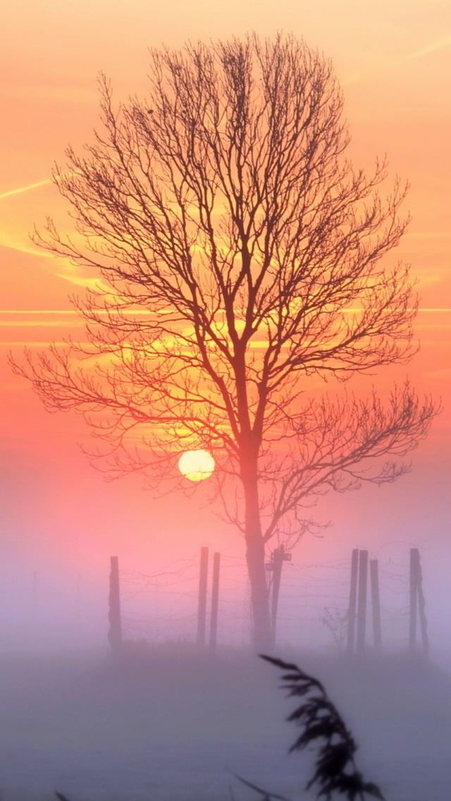 640x1136 Sunset And Mist - fog iPhone Wallpaper
