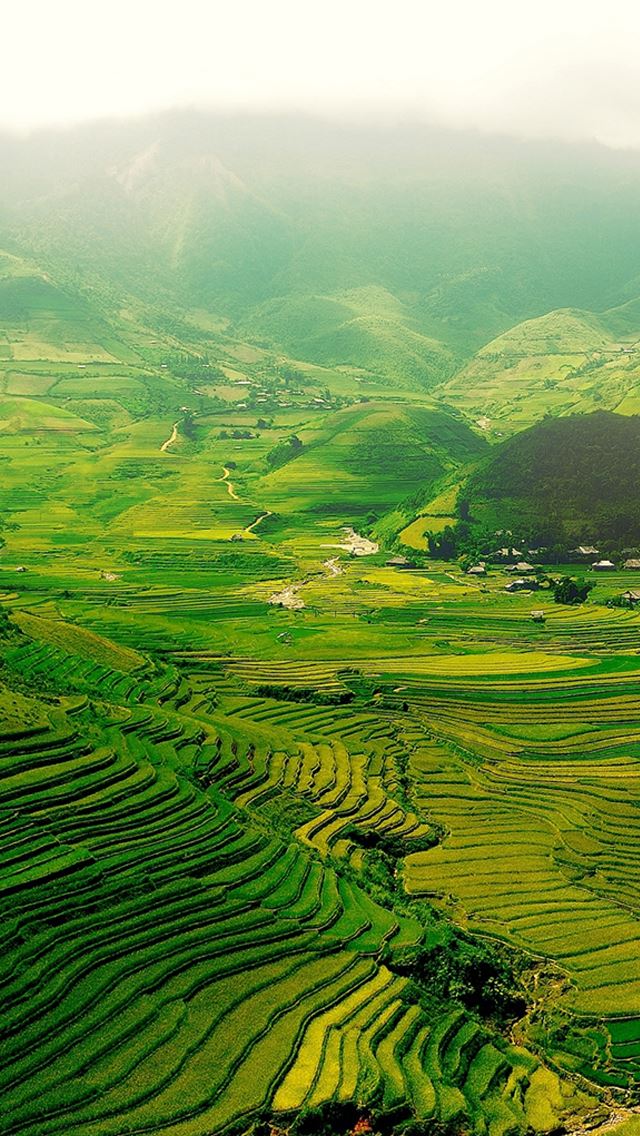 640x1136 The green fields - fields iPhone Wallpaper