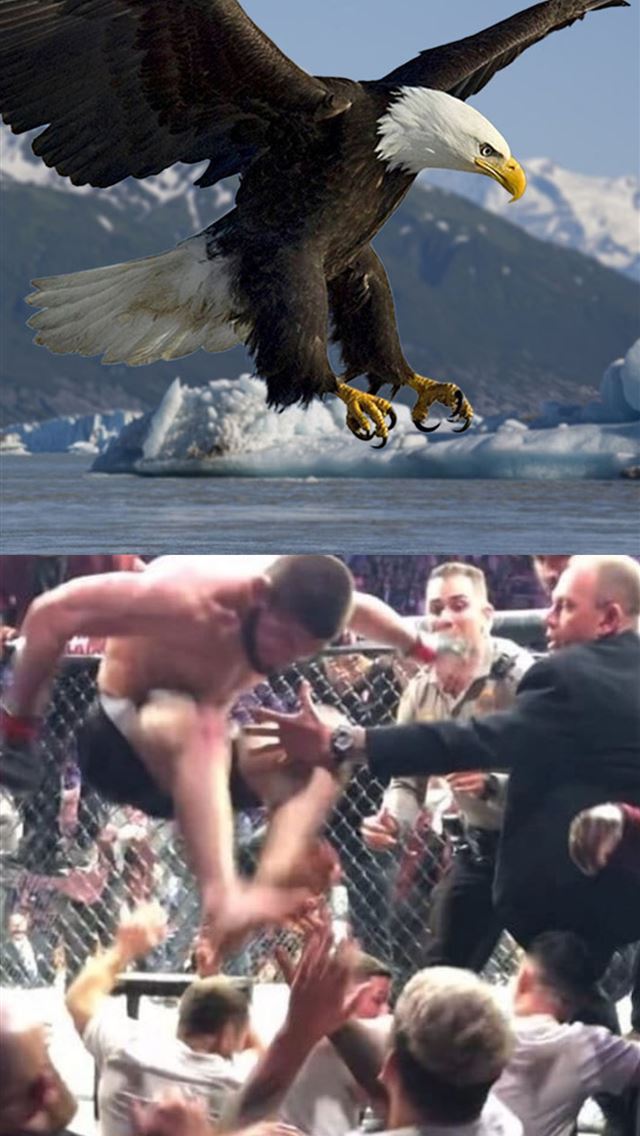 640x1136 Khabib 'The Eagle' Nurmagomedov - russia iPhone Wallpaper