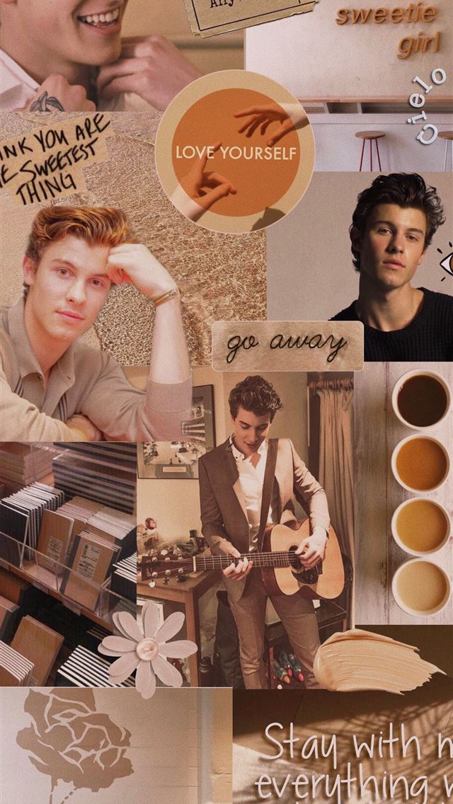 Shawn Mendes aesthetic beige iPhone wallpaper 
