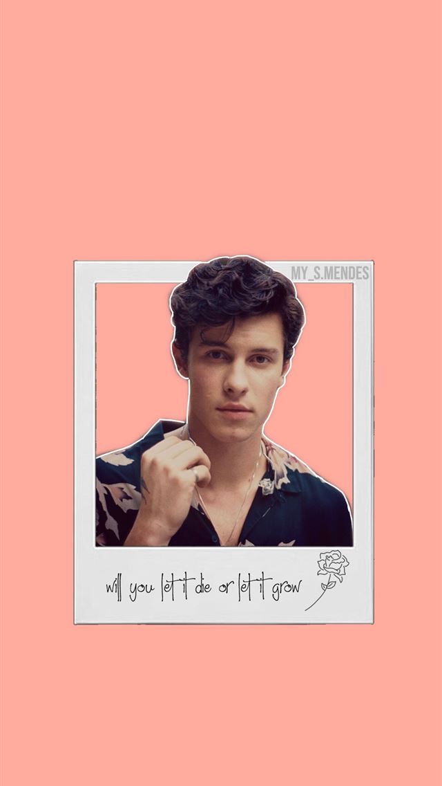 640x1136 Follow me on instagram my s mendes shawnmendes - snowboarding celebrity iPhone Wallpaper