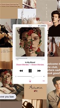 241 Best SHAWN MENDES❤️ images wallpaper