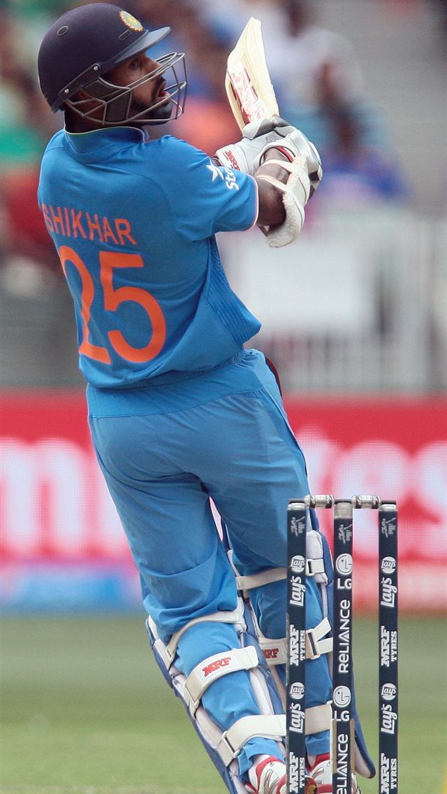 640x1136 As it happened India vs South Africa World Cup 201... - cricket celebrity iPhone Wallpaper