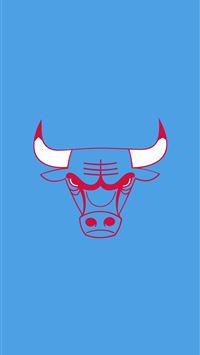 Chicago Bulls City Edition Ecopetit cat wallpaper