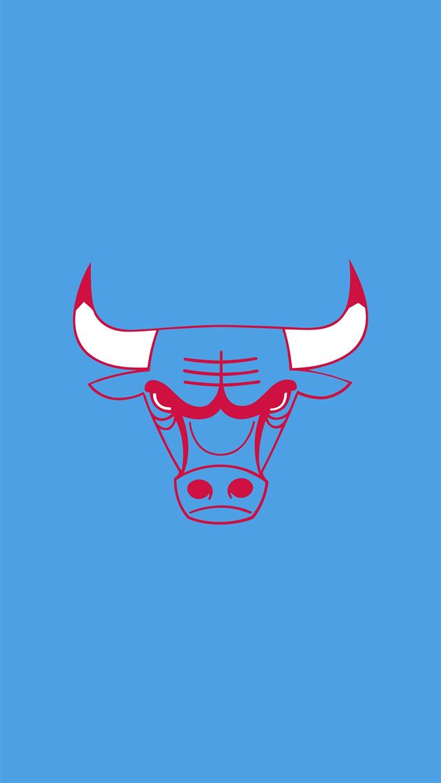 640x1136 Chicago Bulls City Edition Ecopetit cat - basketball celebrity iPhone Wallpaper