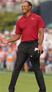 Tiger Woods From highs to lows wallpaper