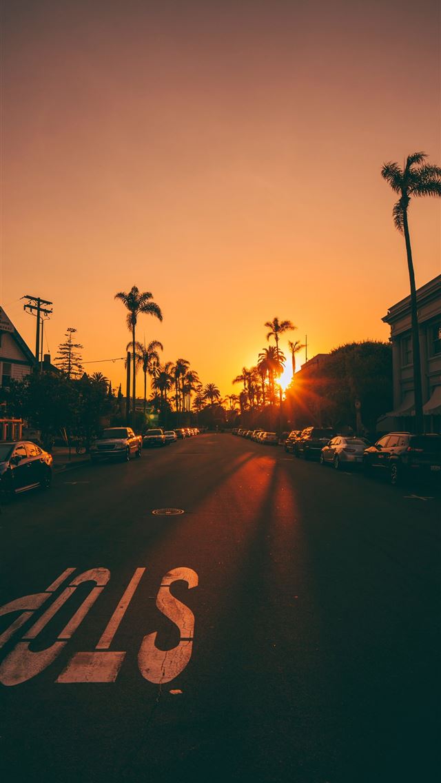 640x1136 px - cricket celebrity iPhone Wallpaper