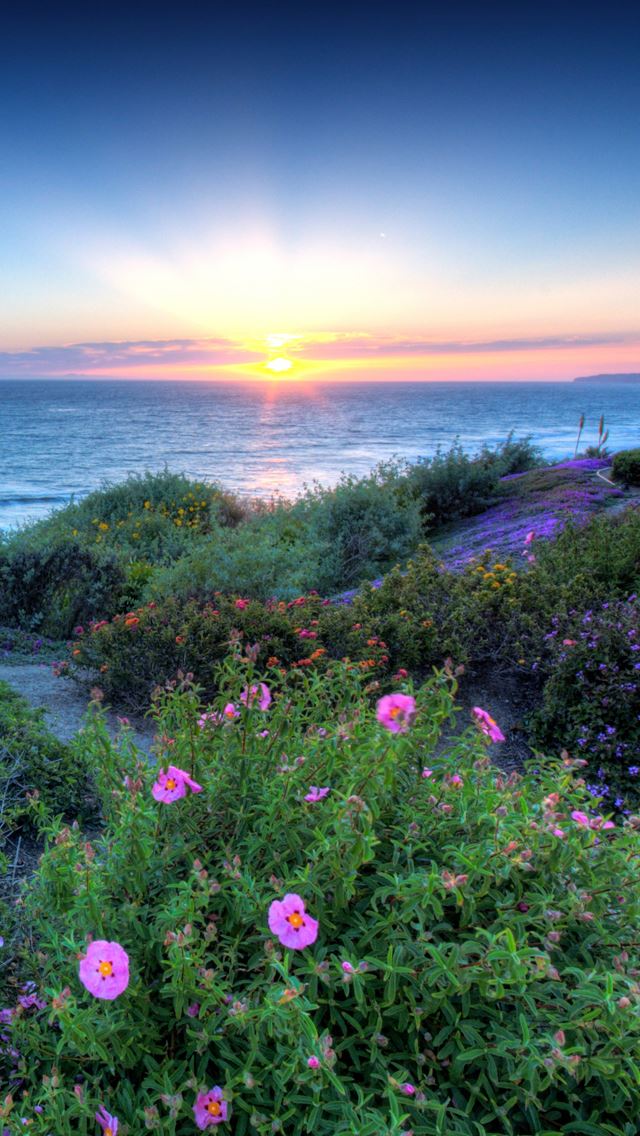 640x1136 Pacific sunset - white iPhone Wallpaper