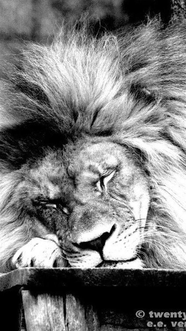 640x1136  photo 2018 12 08T20 47 51 00 00 weekly - marcelo vieira iPhone Wallpaper