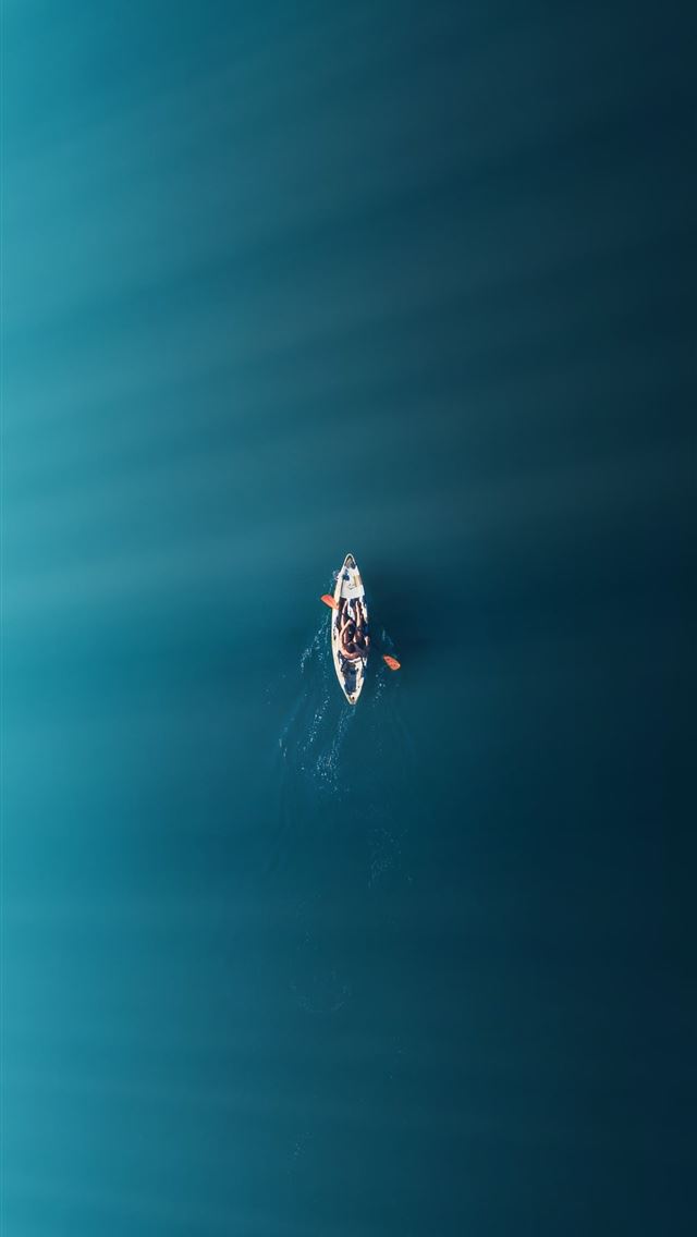 640x1136 black and white spider on web - sun iPhone Wallpaper