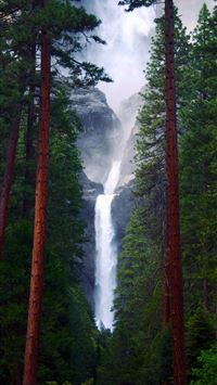 green and brown trees with water falls wallpaper