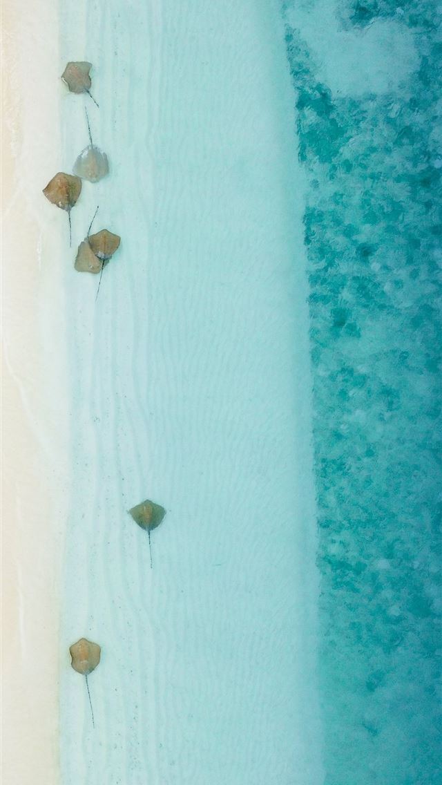 body of water iPhone wallpaper 