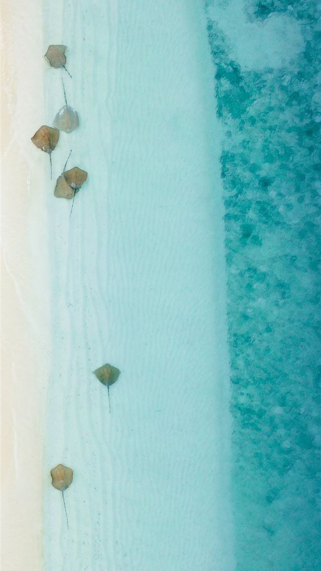 640x1136 body of water -  iPhone Wallpaper
