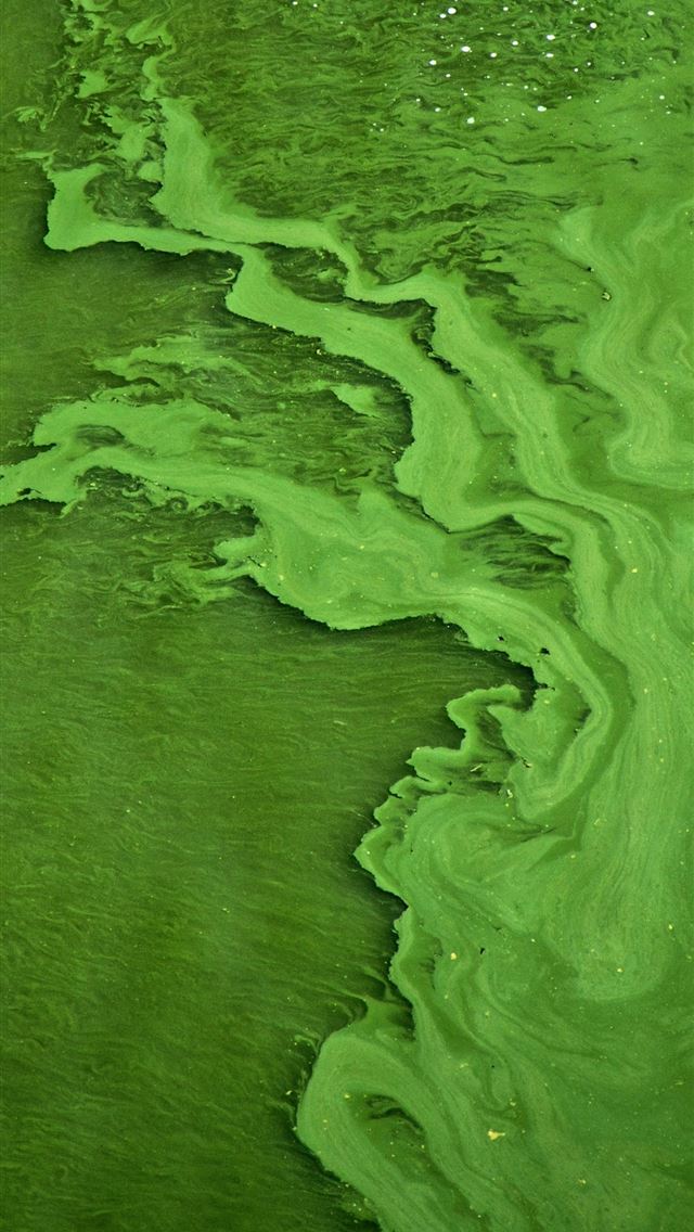 green color water iPhone wallpaper 