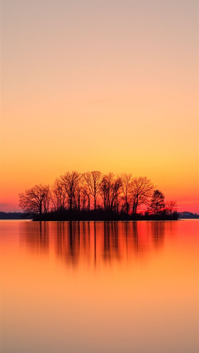 640x1136 silhouette of trees near body of water during suns... -  iPhone Wallpaper