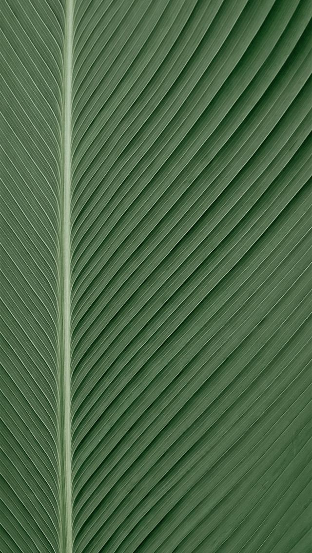640x1136 green and white striped textile - green iPhone Wallpaper