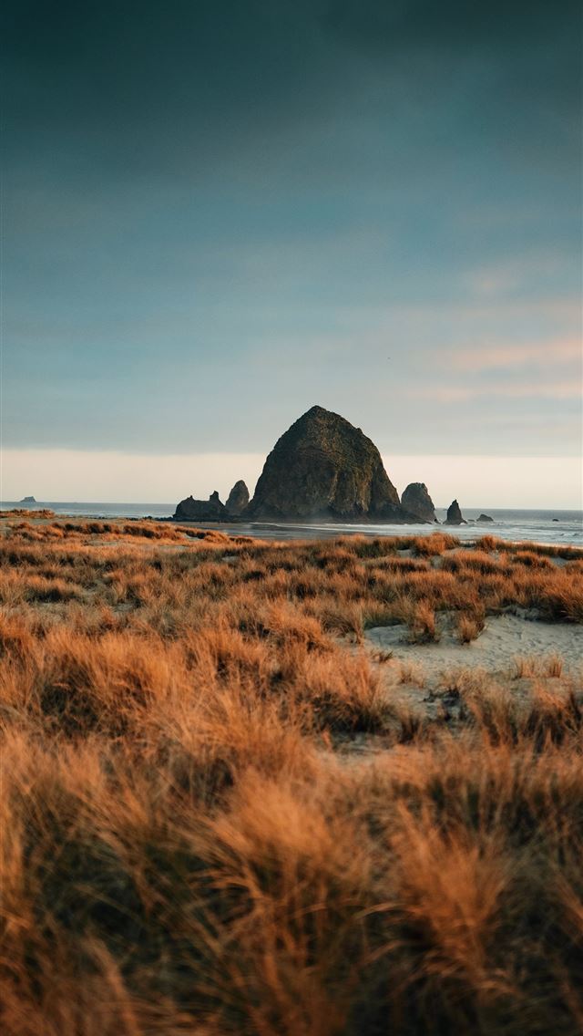 640x1136 brown sand near body of water during daytime - grass iPhone Wallpaper