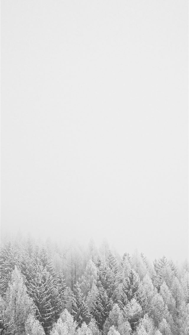 640x1136 snow covered trees during daytime - grey iPhone Wallpaper