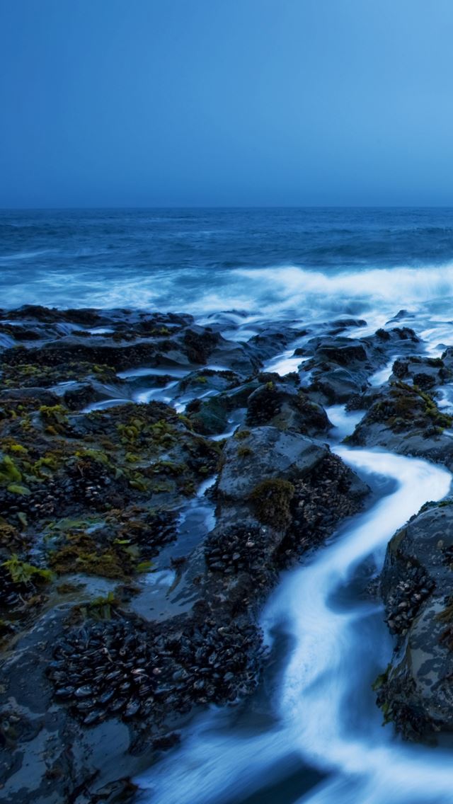 640x1136 Whorls on davenport beach - reef iPhone Wallpaper