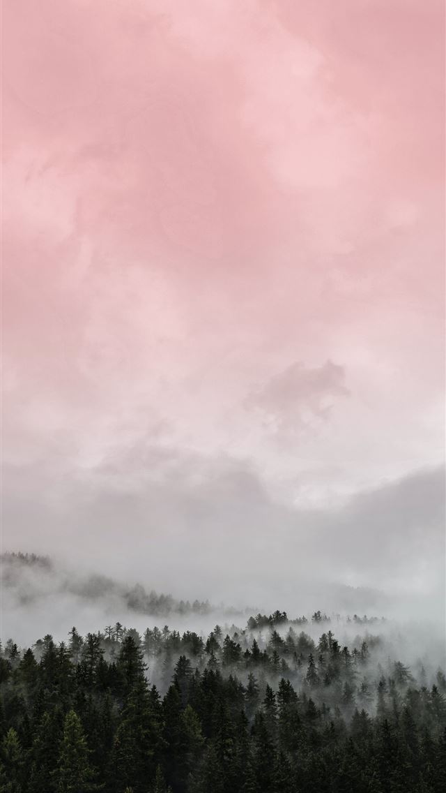 green trees under white clouds during daytime iPhone wallpaper 