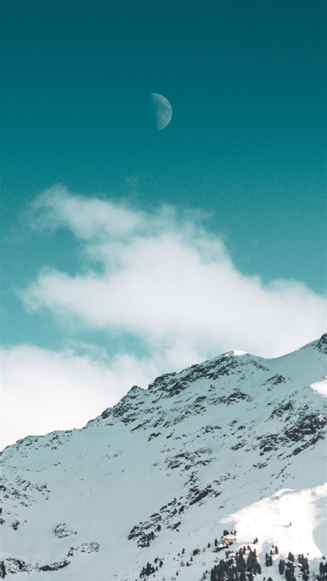 640x1136 green trees on mountain - teal iPhone Wallpaper
