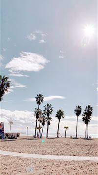 Palm Trees in Venice Beach Los Angeles palmtrees v... wallpaper
