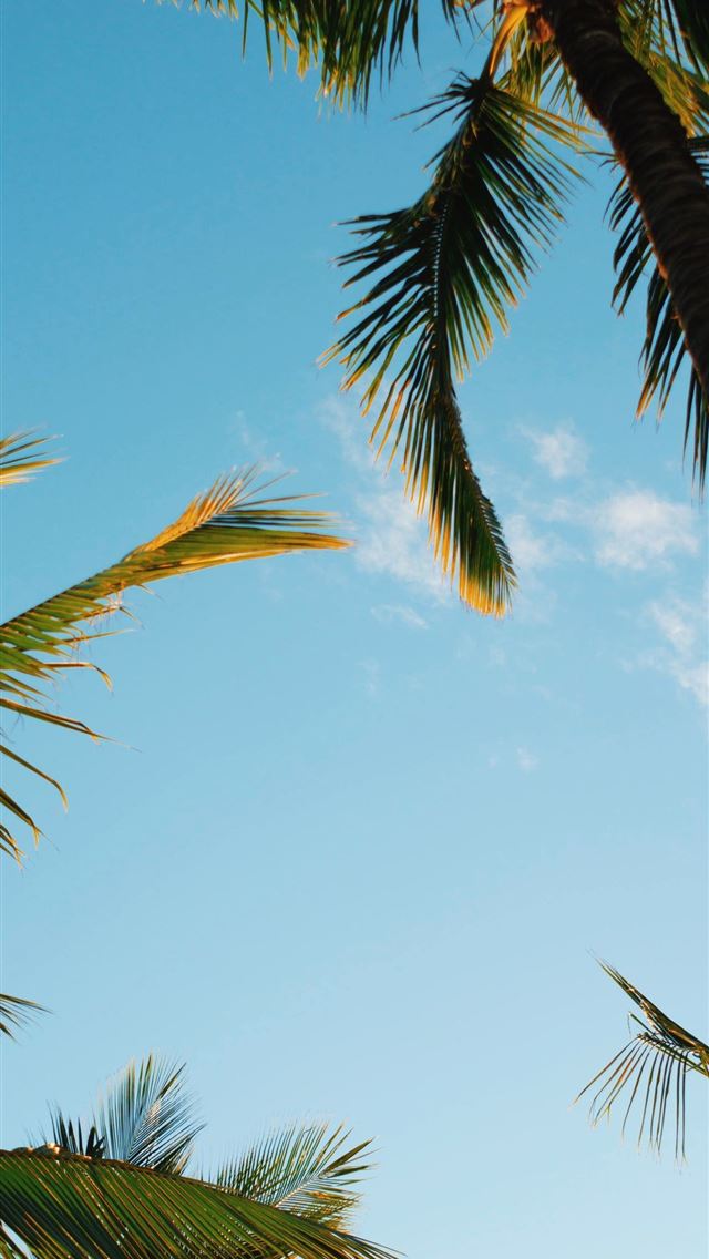 640x1136 Thanks to jordanfmcqueen for making this photo ava... - hawaii iPhone Wallpaper