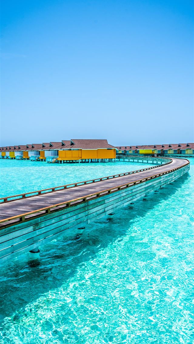 640x1136 brown wooden dock on blue sea under blue sky durin... -  iPhone Wallpaper