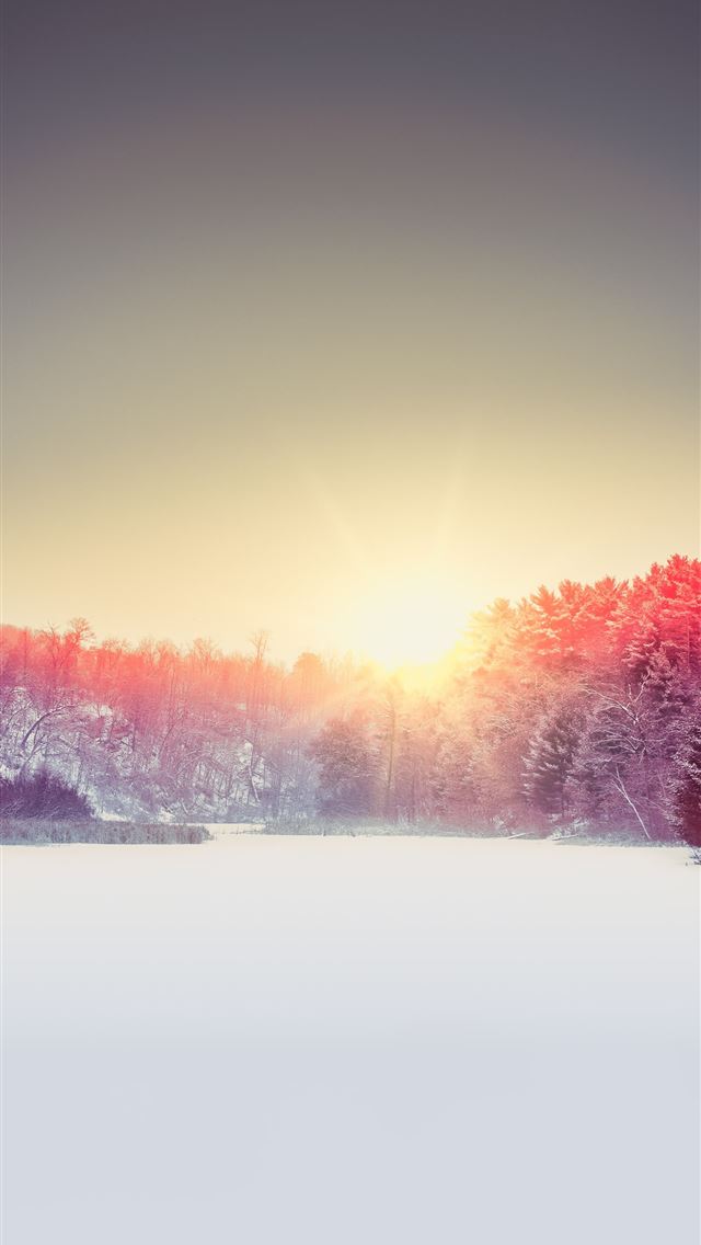 white ice covering the river lined with trees duri... iPhone wallpaper 