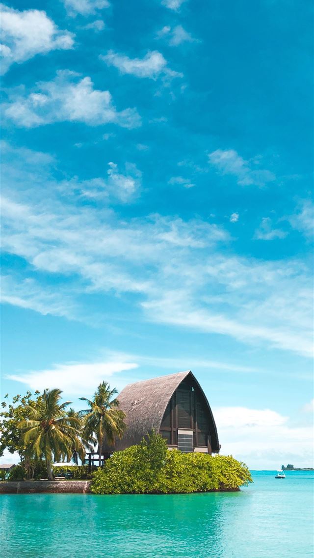 640x1136 brown hut near coconut palm trees under blue sky - tropical iPhone Wallpaper