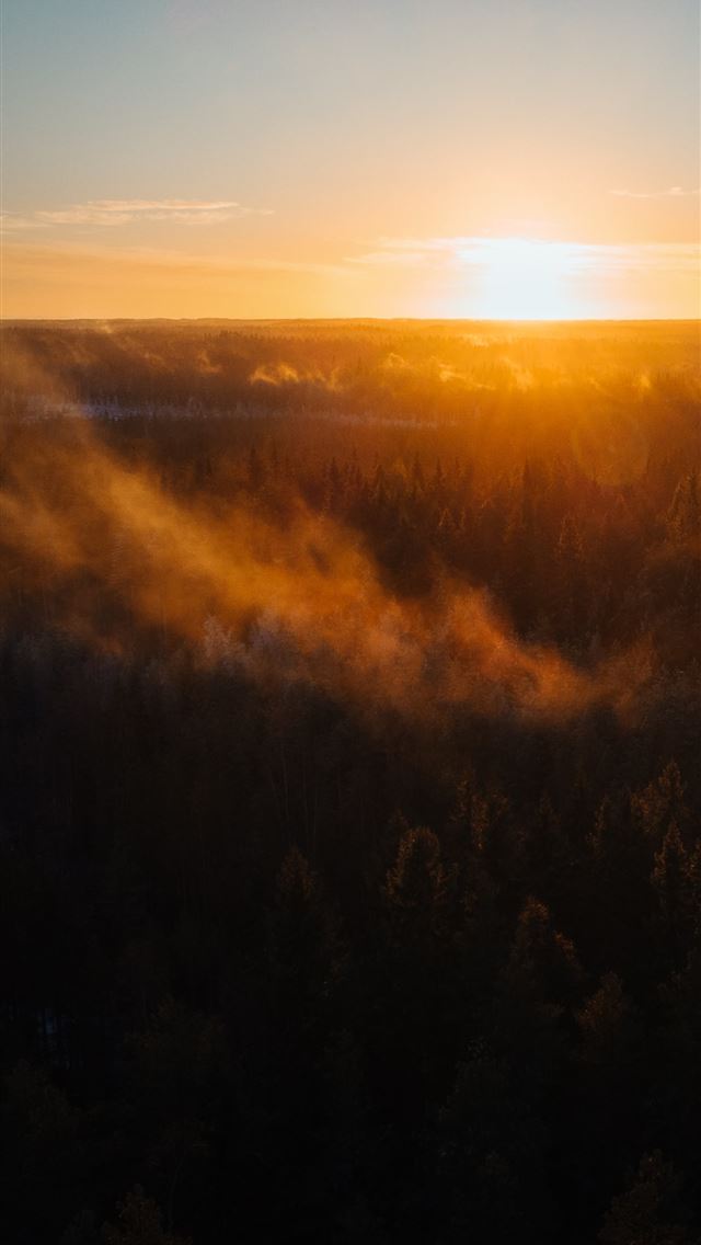 aerial view of trees during sunrise iPhone wallpaper 