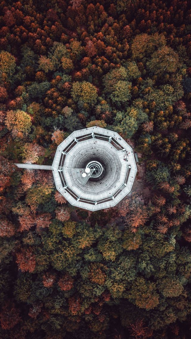640x1136 high angle photography of white textile - trees iPhone Wallpaper