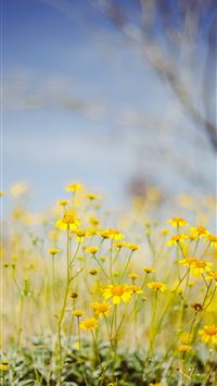 Nature Ai Scene iPhone Wallpaper - Wallpapers Download 2023