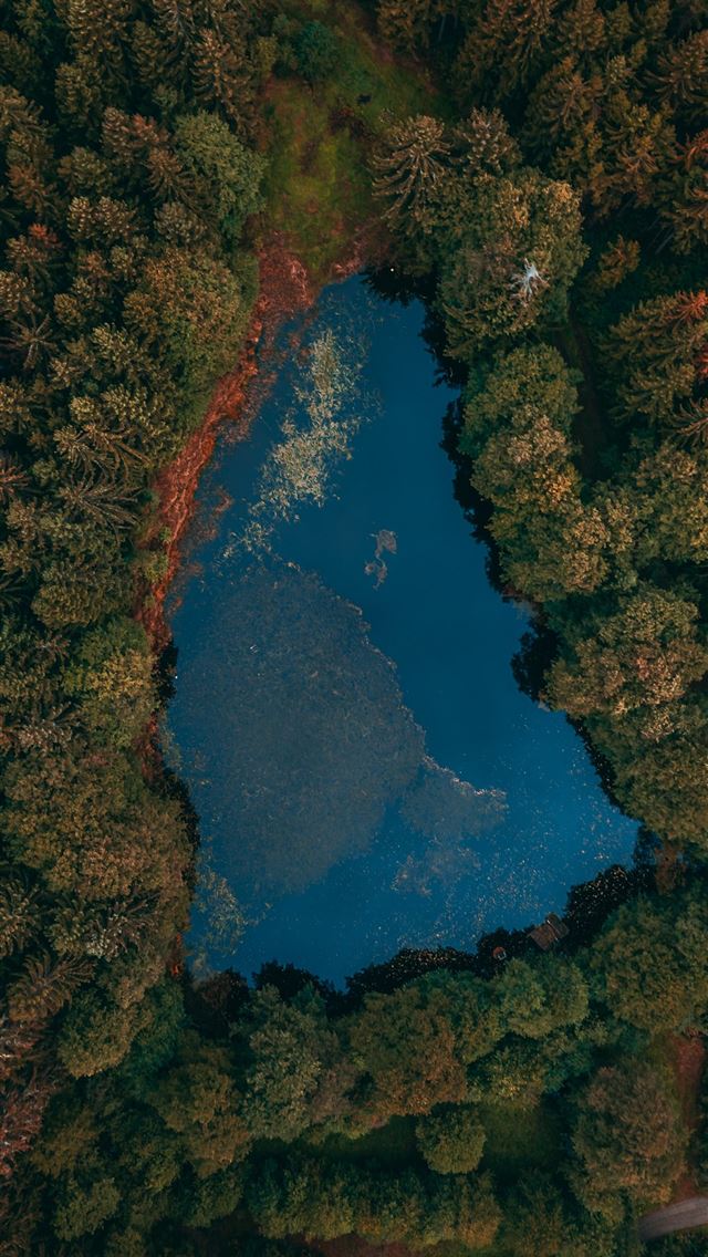 640x1136 aerial view of lake surrounded by trees - scenery iPhone Wallpaper