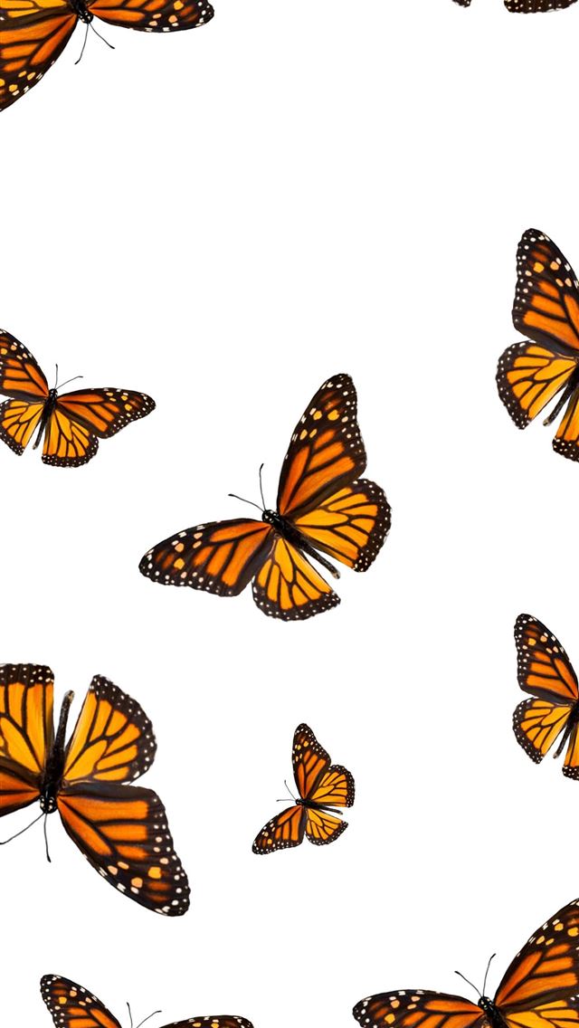 640x1136 Idea by Gaby Rodriguez on Backgrounds - butterfly iPhone Wallpaper