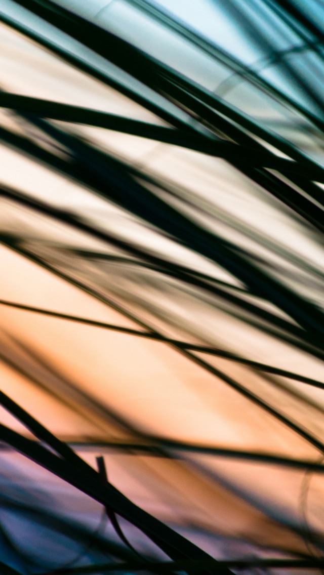 640x1136 Just Havent Met You Yet - colorful iPhone Wallpaper