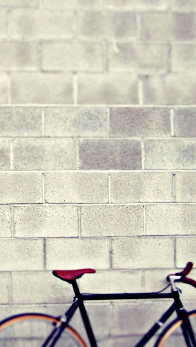 640x1136 Schwinn bicycle - wall iPhone Wallpaper
