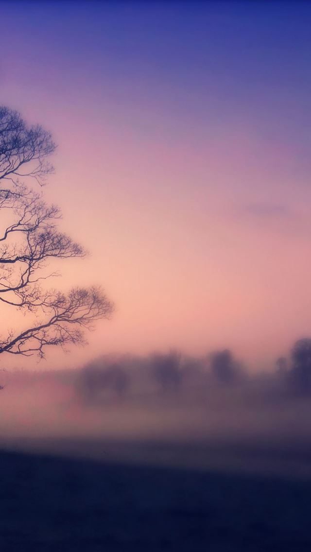 640x1136 Scots mist - shadows iPhone Wallpaper