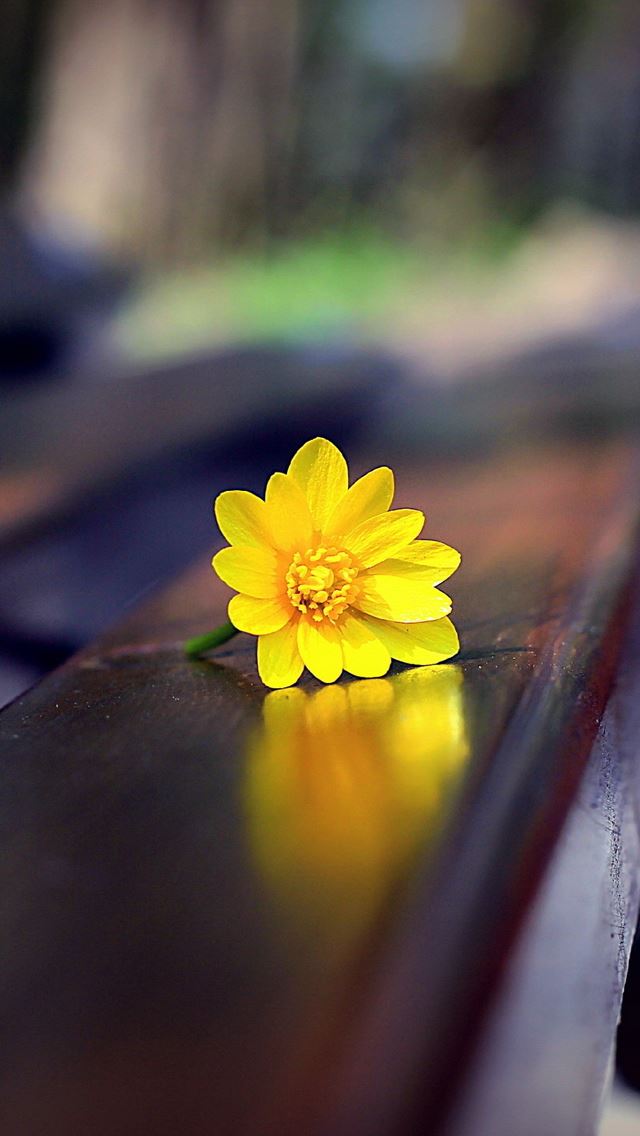 640x1136 Romantic bench - romantic iPhone Wallpaper
