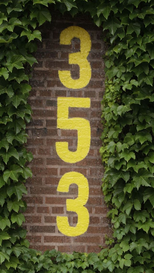 640x1136 The Wrigley Field Ivy - trends iPhone Wallpaper