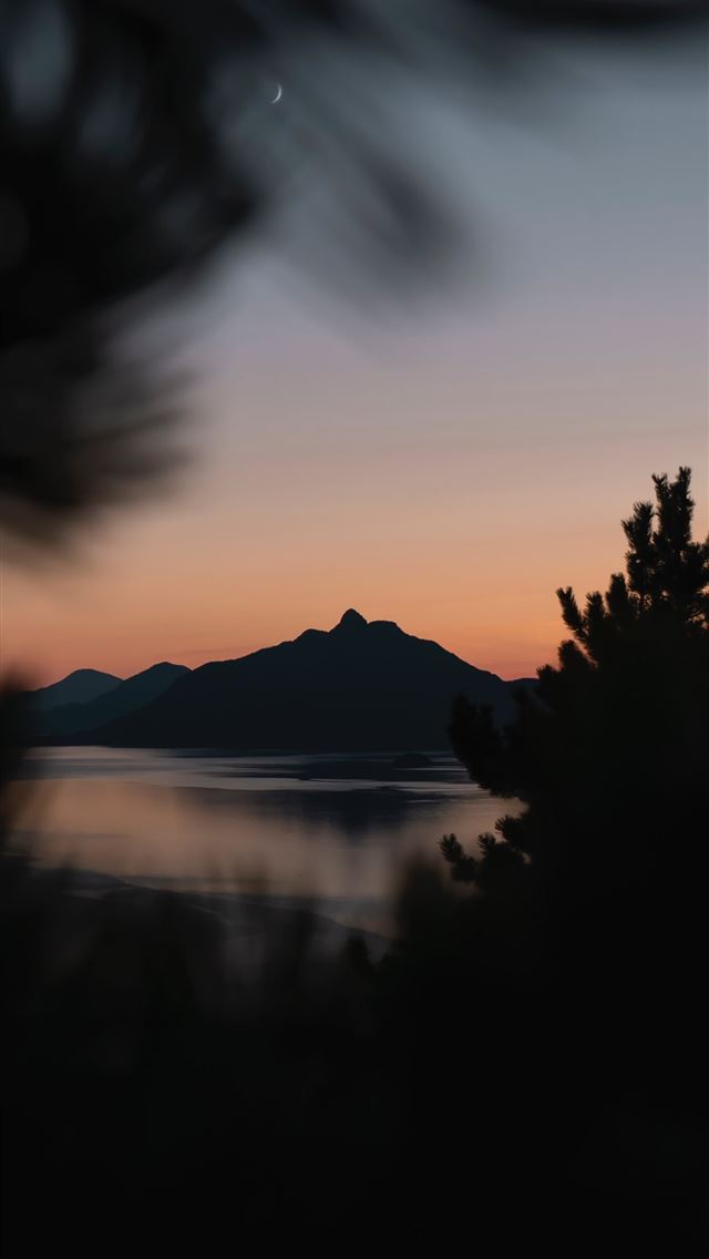 640x1136 silhouette of trees near body of water during gold... - vancouver iPhone Wallpaper
