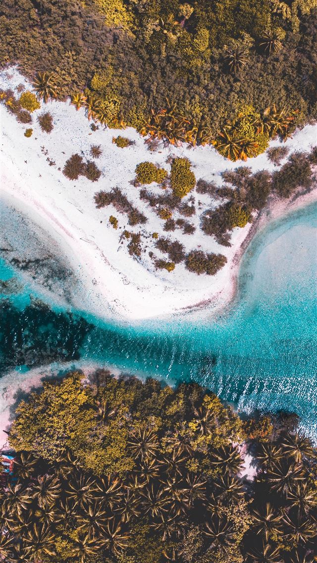 640x1136 aerial view of green trees and blue sea during day... - beach iPhone Wallpaper
