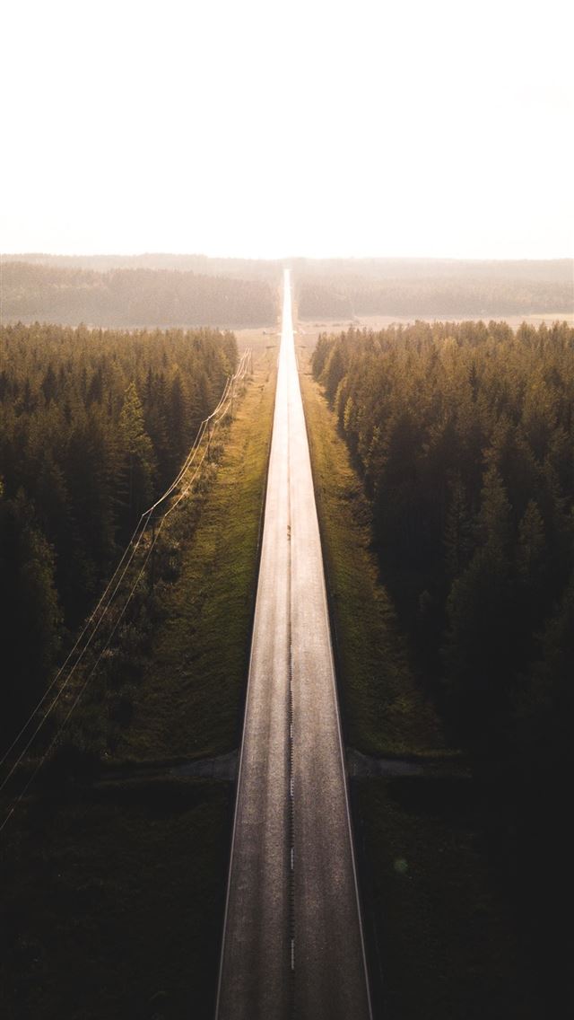 640x1136 black road surrounded by trees - finland iPhone Wallpaper