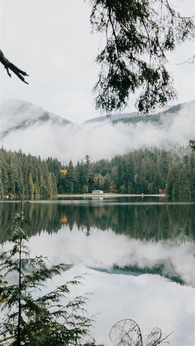640x1136 green trees beside calm body of water - canada iPhone Wallpaper