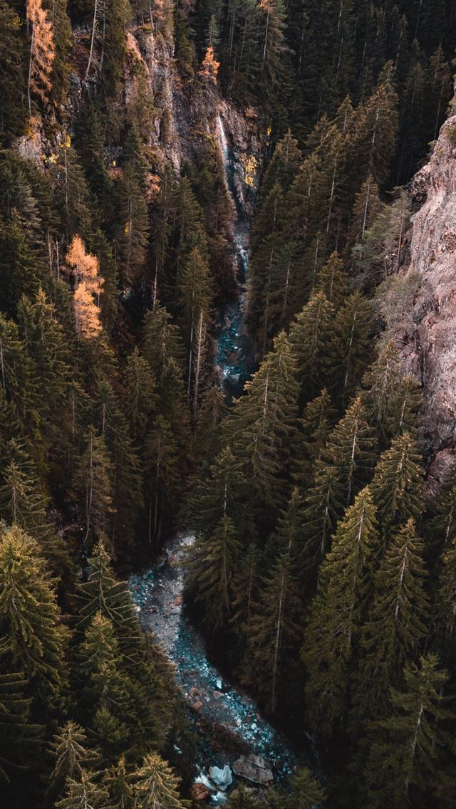 640x1136 river traversing forest during daytime - trees iPhone Wallpaper