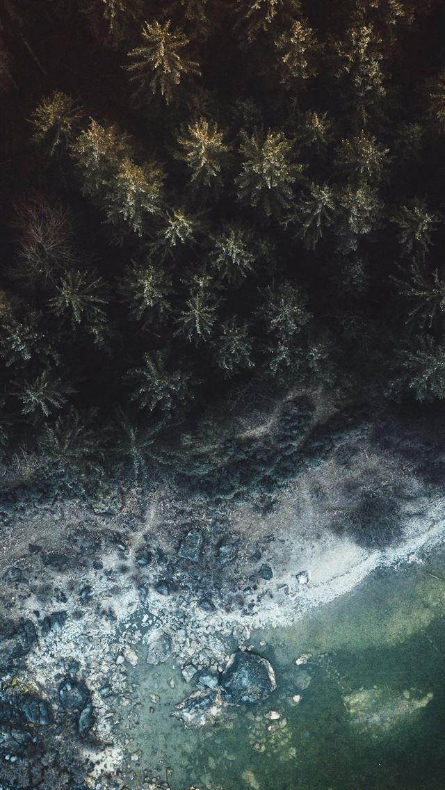 aerial view photography of beach and green forest iPhone wallpaper 